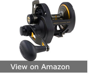 Penn Fathom Lever Drag 2 Fishing Reel