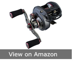 Piscifun Thunder Fishing Reel